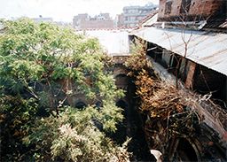 Bhojan Griha buildings affected by vegetation growth before renovation