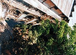 Bhojan Griha buildings affected by vegetation growth before renovation